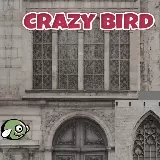 CrazyBird