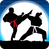 Karate Fighter Real battles